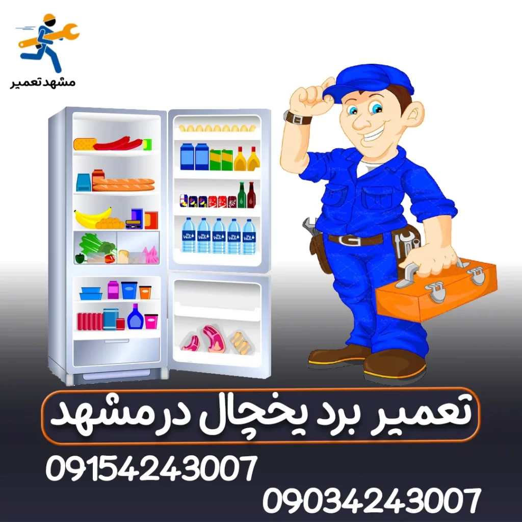 نمایندگی یخچال اسنوا مشهد